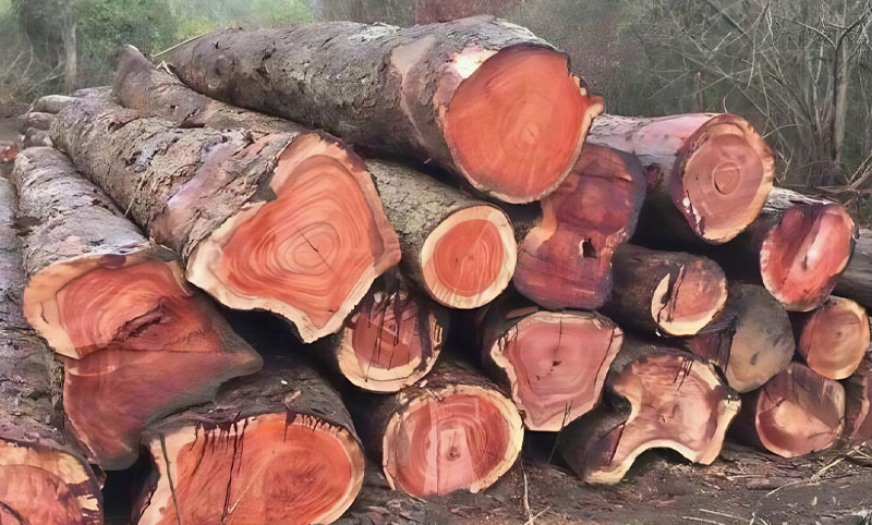 ban-ghe-go-xa-cu-co-tot-khong