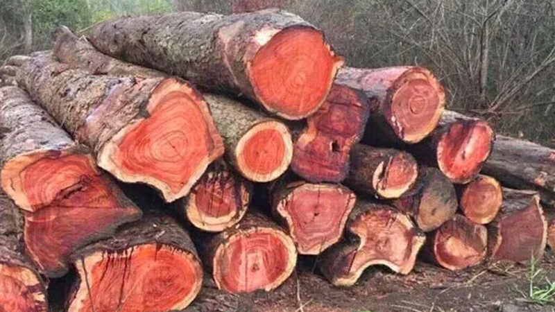 ban-ghe-go-cam-lai-tay-20-1