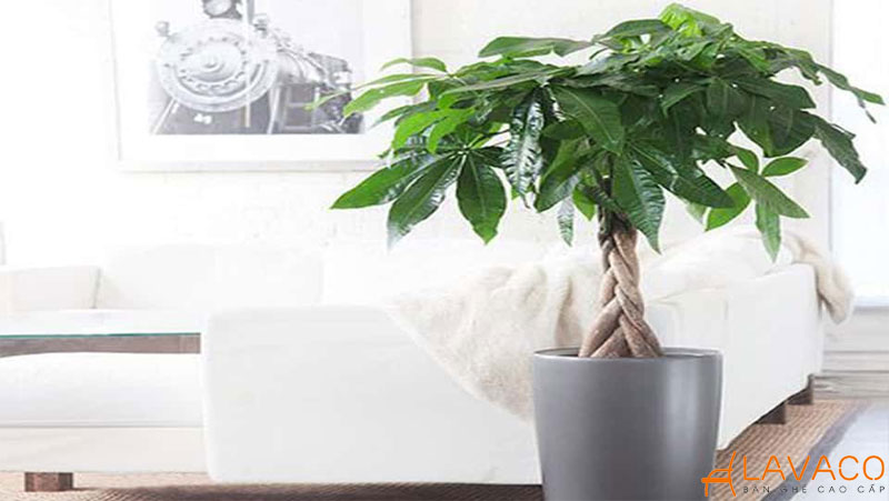 Vật dụng trang trí phòng khách đẹp