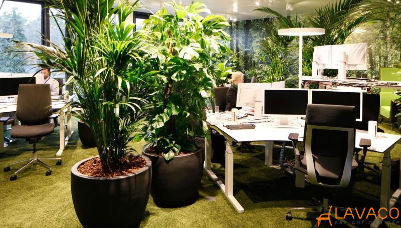 12 mẫu thiết kế decor văn phòng nhỏ đẹp, diện tích chỉ từ 50m2