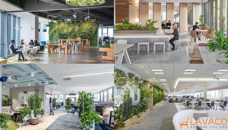 15+ ý tưởng thiết kế nội thất văn phòng làm việc chuyên nghiệp, hiện đại