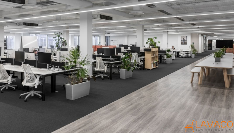 Gợi ý 9 cách bố trí phòng làm việc khoa học, chuyên nghiệp