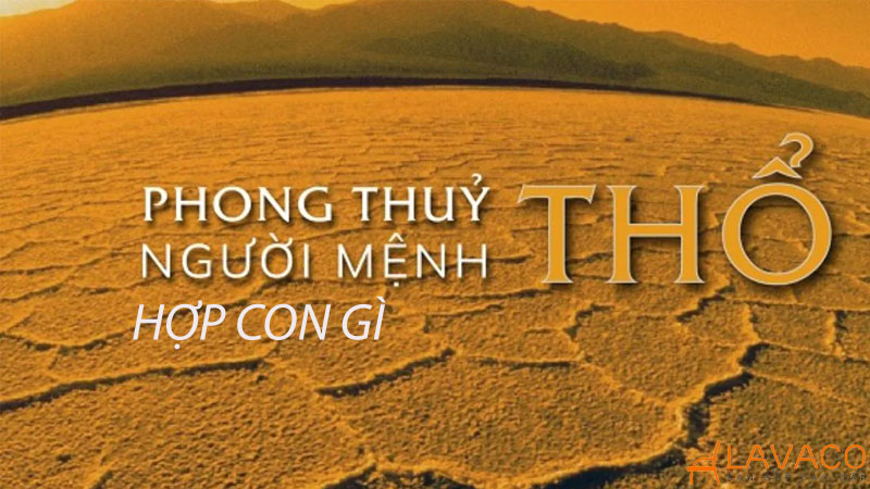 Con vật hợp mệnh thổ và linh vật phong thủy mang may mắn