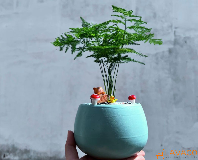 Mệnh mộc hợp cây gì để bàn làm việc? 22 loại cây hợp mệnh 2026
