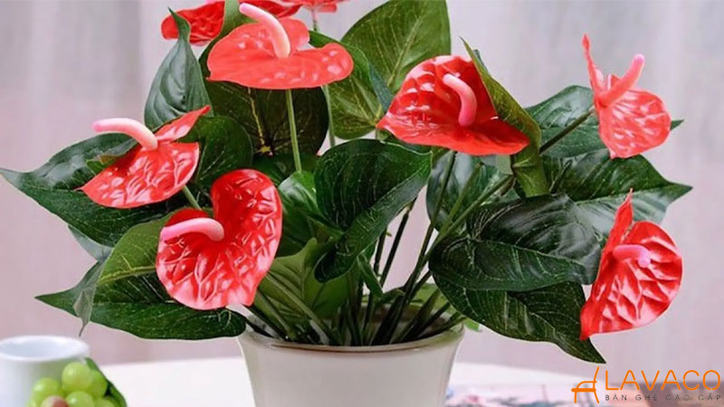 Mệnh thổ để gì trên bàn làm việc để gặp may mắn?
