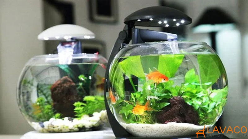 Mệnh thủy để gì trên bàn làm việc để thu hút may mắn và tài lộc?