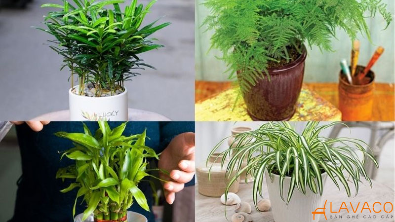 Mệnh thủy để gì trên bàn làm việc để thu hút may mắn và tài lộc?