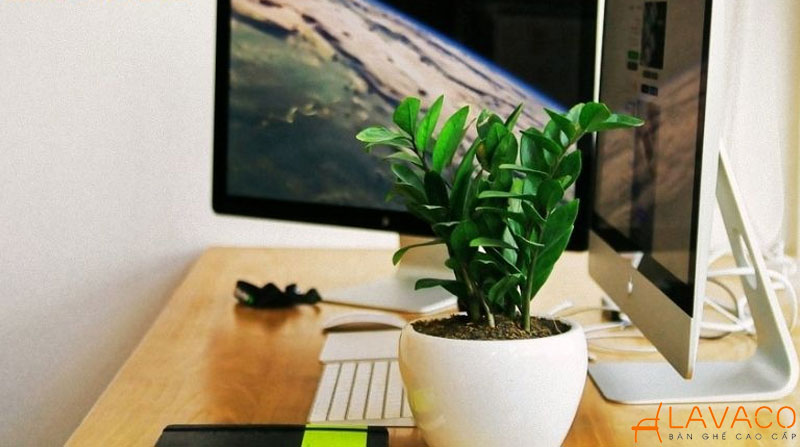 Mệnh thủy ngồi hướng nào làm việc chuẩn phong thủy?