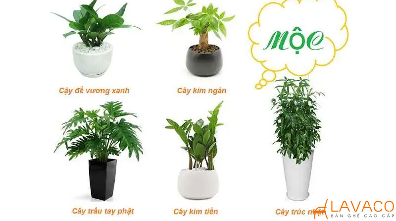 Vật may mắn cho người mệnh mộc đặt gì trên bàn làm việc