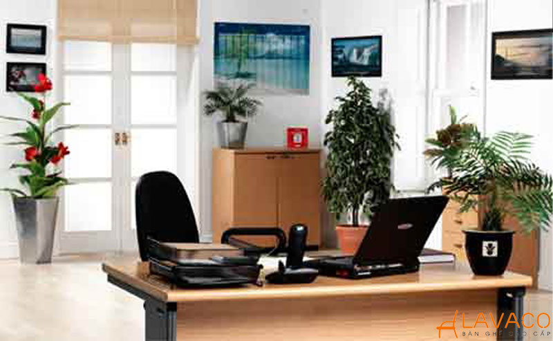 Vật may mắn cho người mệnh mộc đặt gì trên bàn làm việc