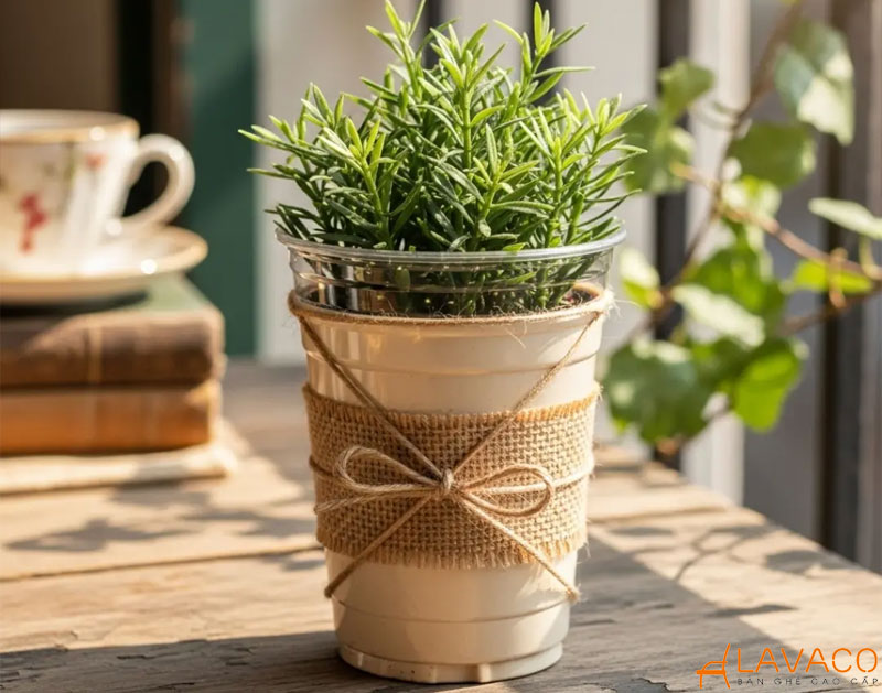 Chậu cây mini trang trí bằng dây thừng