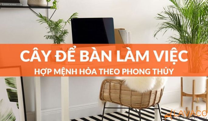 Cây để bàn làm việc hợp mệnh hoả.