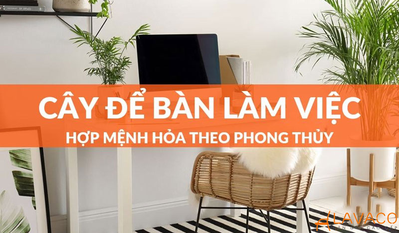 Cây để bàn làm việc hợp mệnh hoả.
