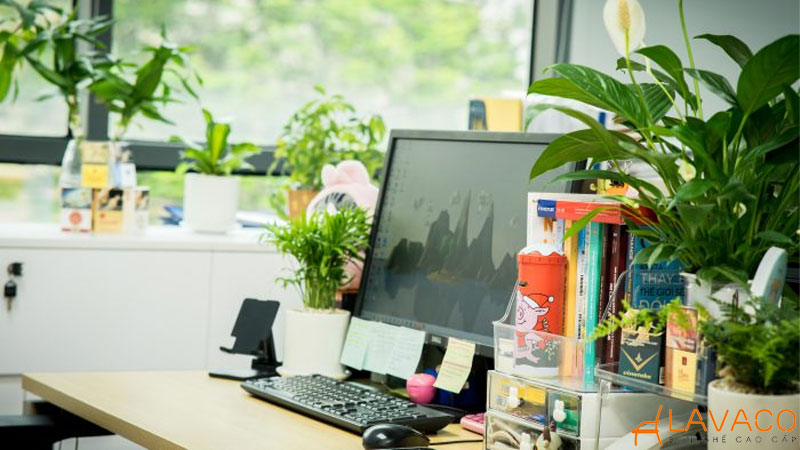 Đưa thiên nhiên vào góc làm việc với cây xanh phong thủy.